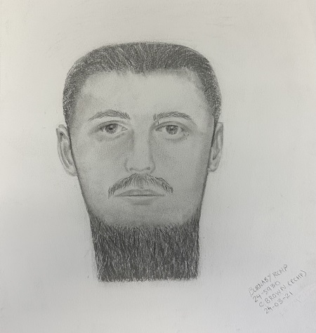 Burnaby RCMP releases sketch of suspect after senior sexually assaulted in Central Park