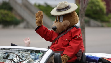 Photo of Safety Bear sitting in a car waving at a crowd