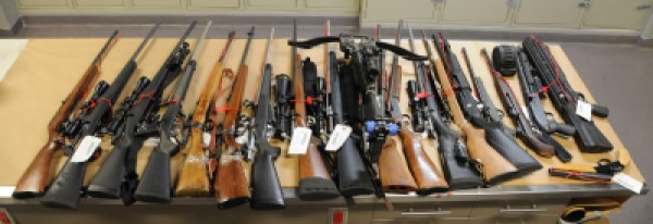 Photo of firearms and crossbow seized