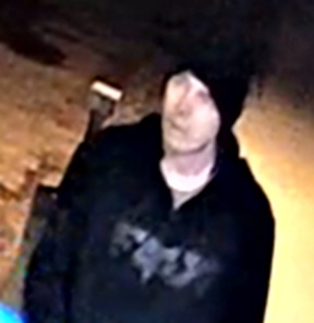 Photo of suspect wearing a black toque and black FOX hoodie 