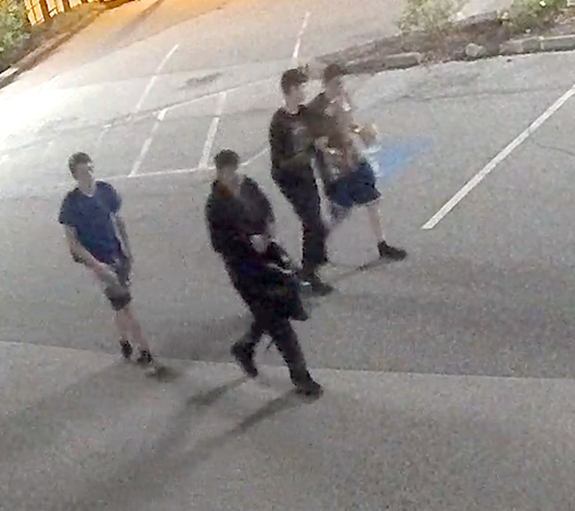 Help ID youth suspected of causing damage at Sophie’s Place 