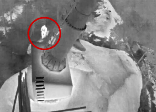Thermal image of suspect