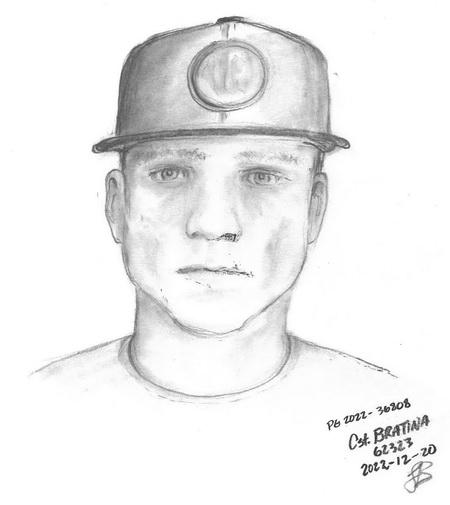 forensic composite sketch of the suspecF